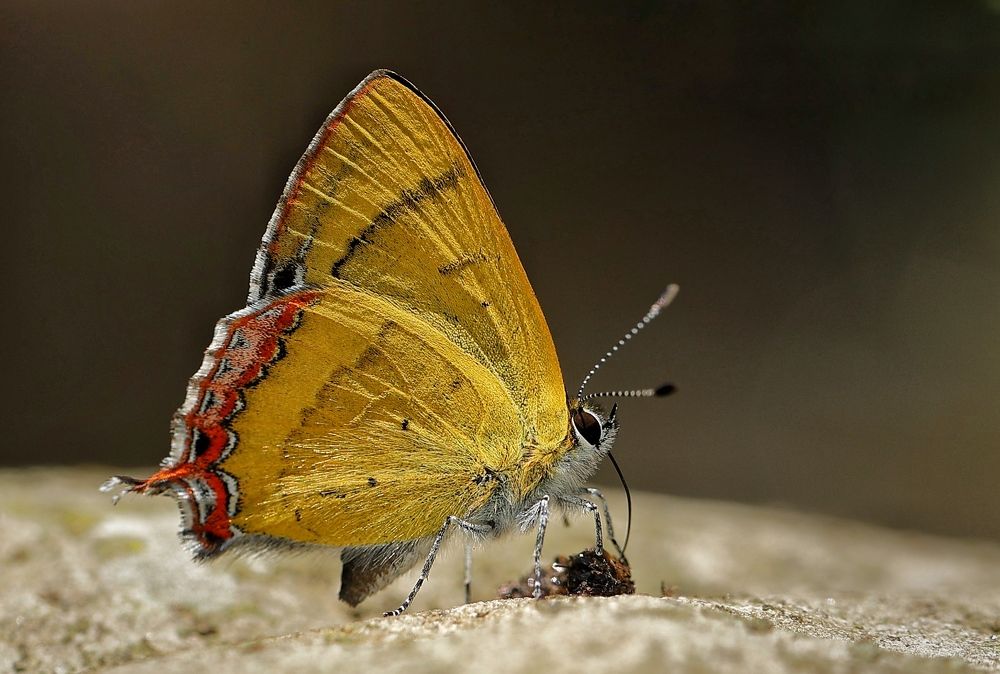 Фотография автора Vivek Kuber