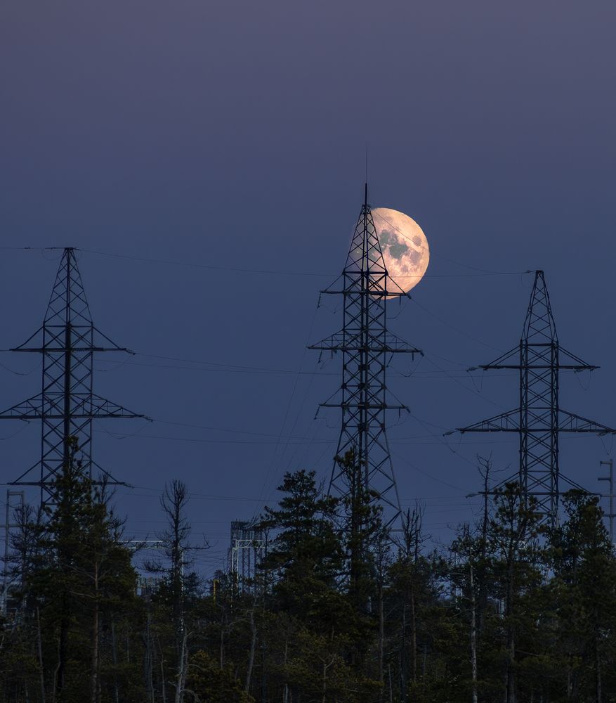 Фотография автора Straand2614