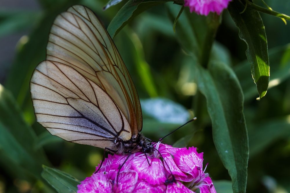 Photograph by Наталья Иванова