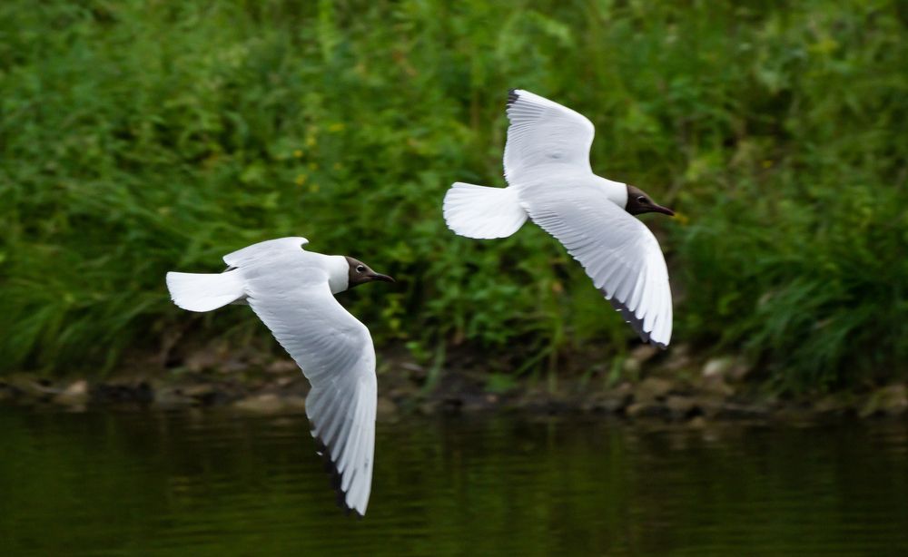 Photograph by Ilyin Evgeny