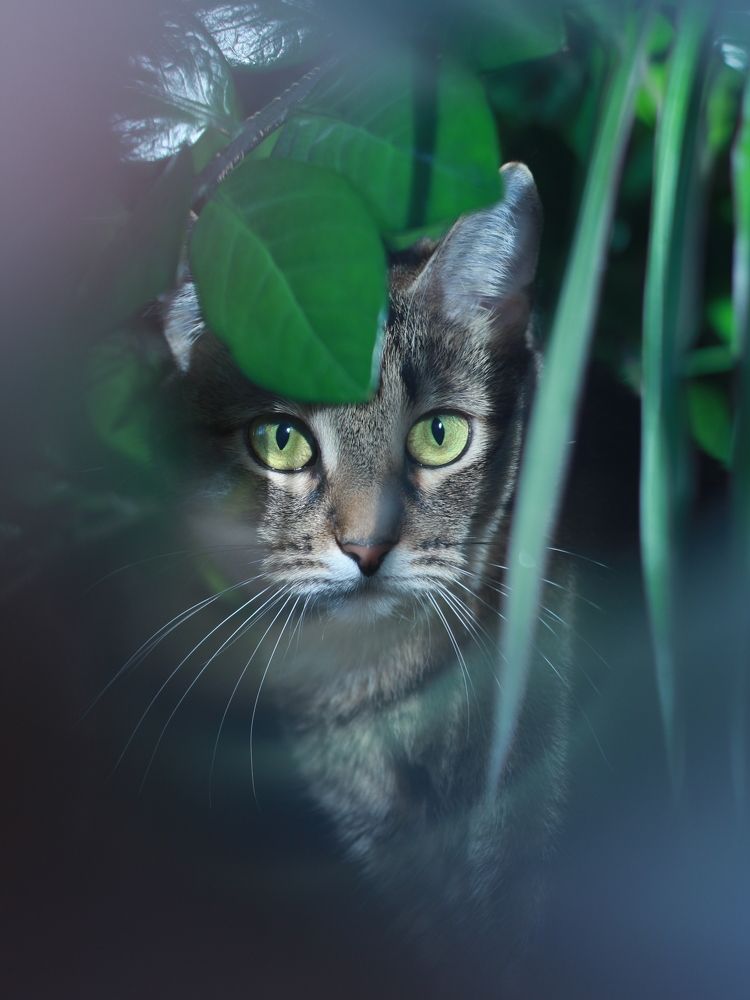 Photograph by Марина Беляева