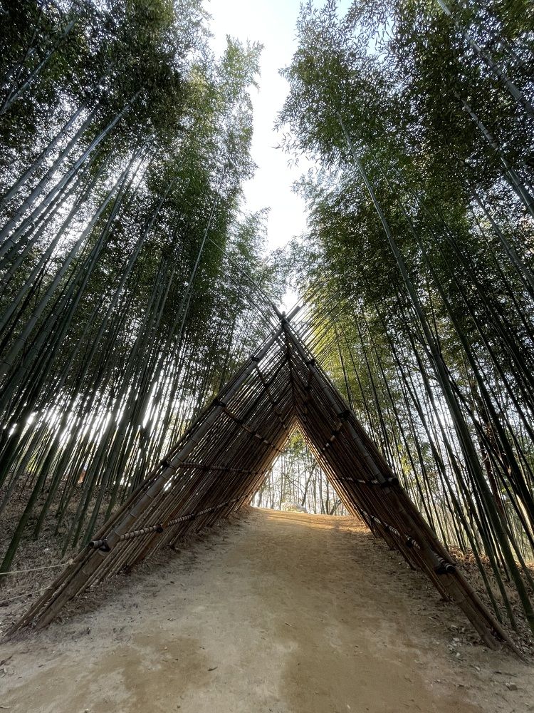 Photograph by Gorobets Olga