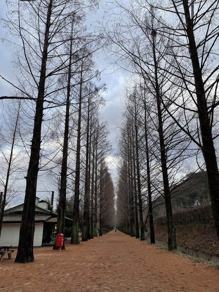 Photograph by Gorobets Olga