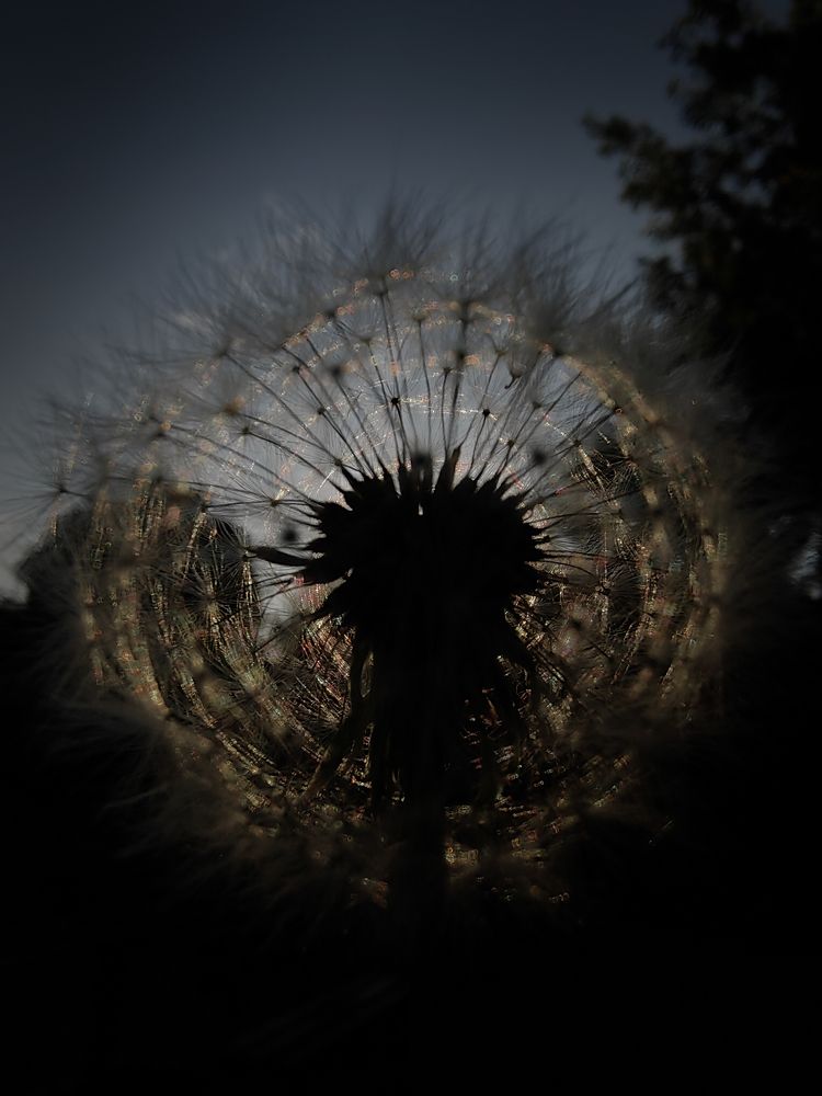 Photograph by Анна Демина