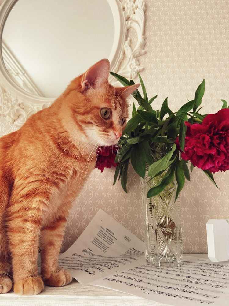 Photograph by Маргарита Миронова