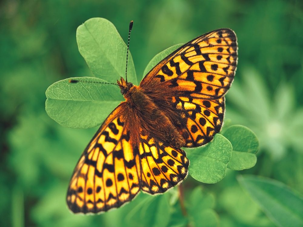 Photograph by Ольга Юминова