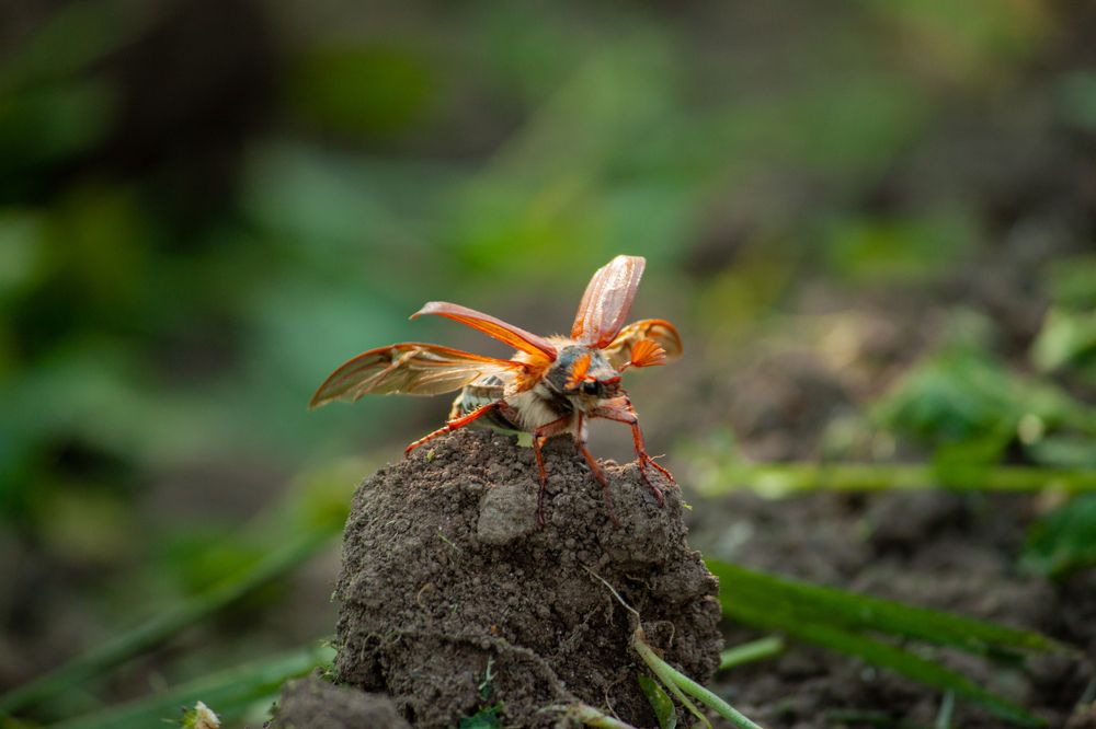 Photograph by Владислав Капанов