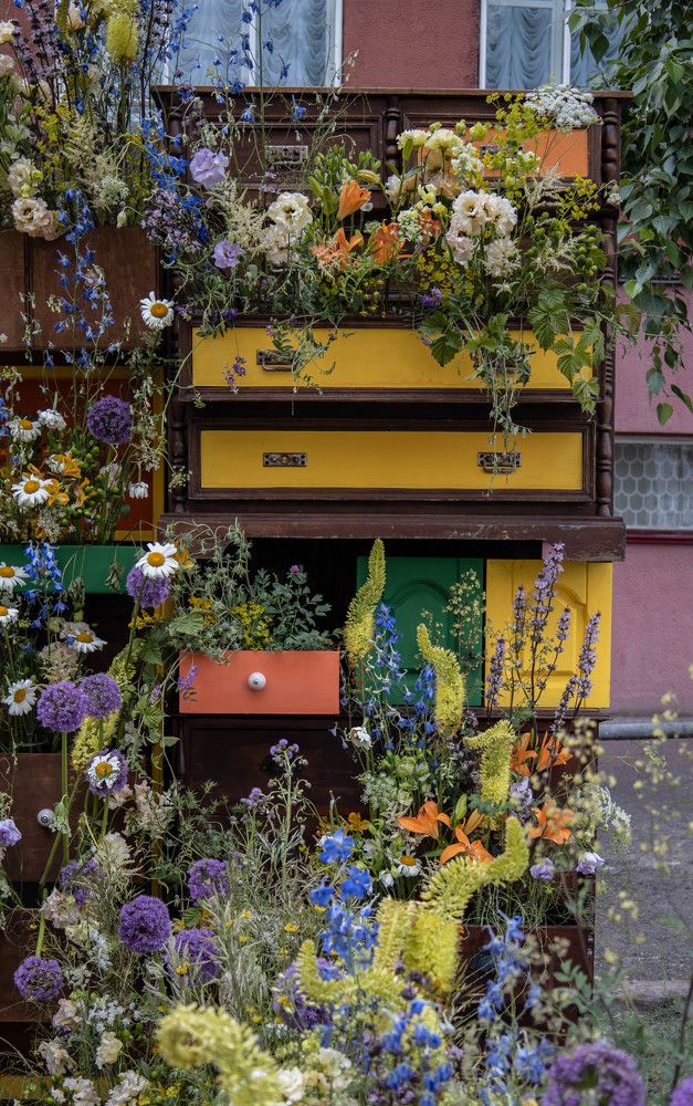 Photograph by Анастасия Карнаухова