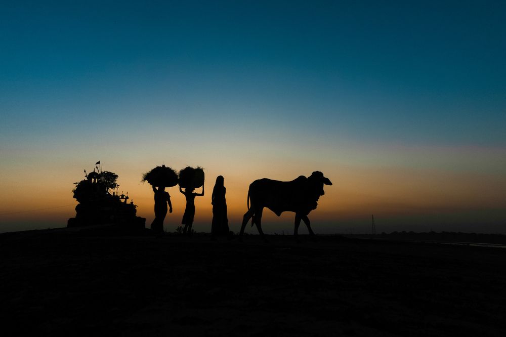 Photograph by Utkarsh tiwari