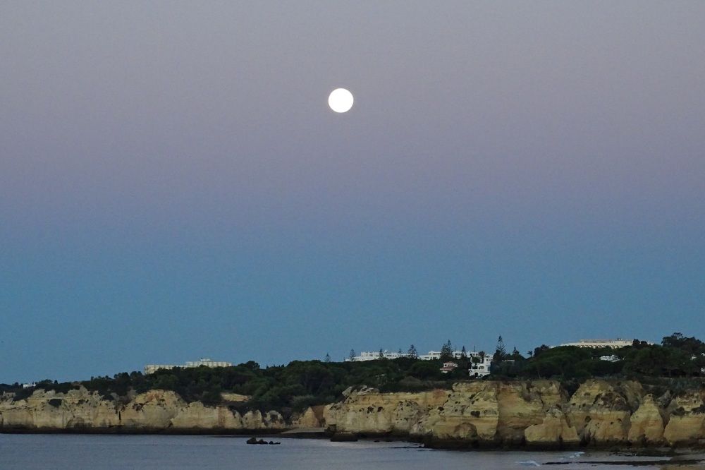 Photograph by Lyudmyla Chorney