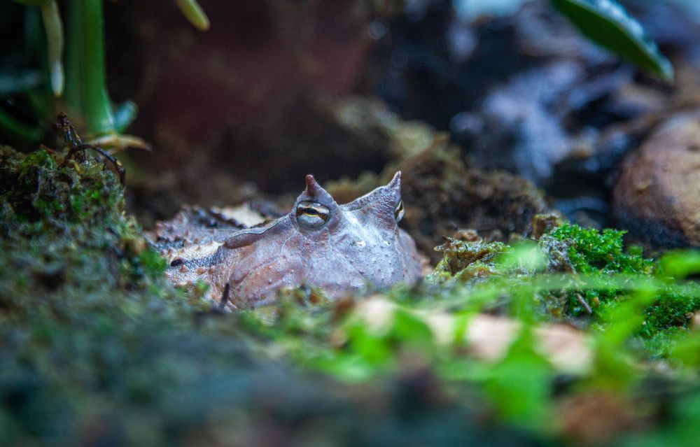 Photograph by Толян Бууулочкин