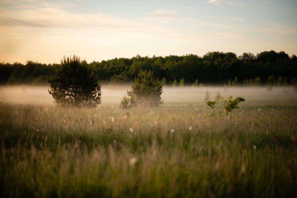 Photograph by Светлана Субботина