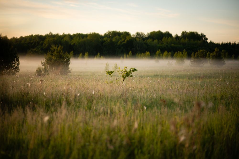 Photograph by Светлана Субботина