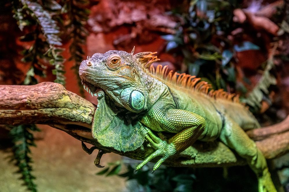 Photograph by Сергей Газизов