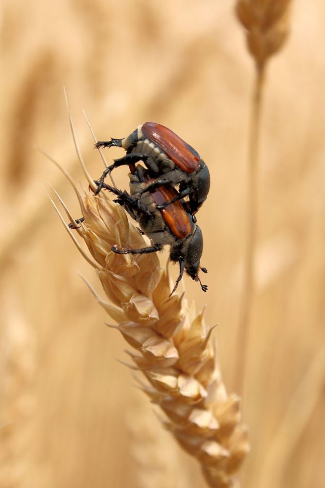 Photograph by Юрий Варюхин