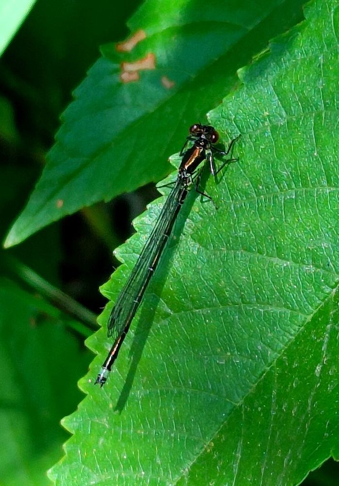 Photograph by Юрий Варюхин