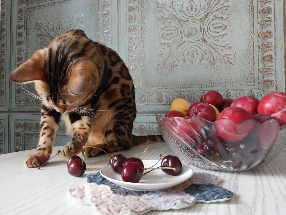 Photograph by Юлия Фирман