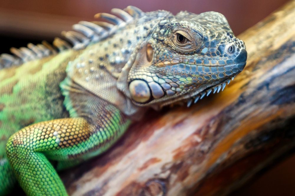 Photograph by Владимир Салапонов