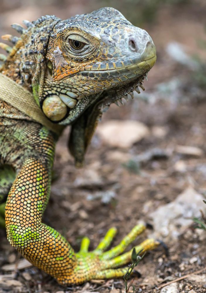 Photograph by Владимир Салапонов