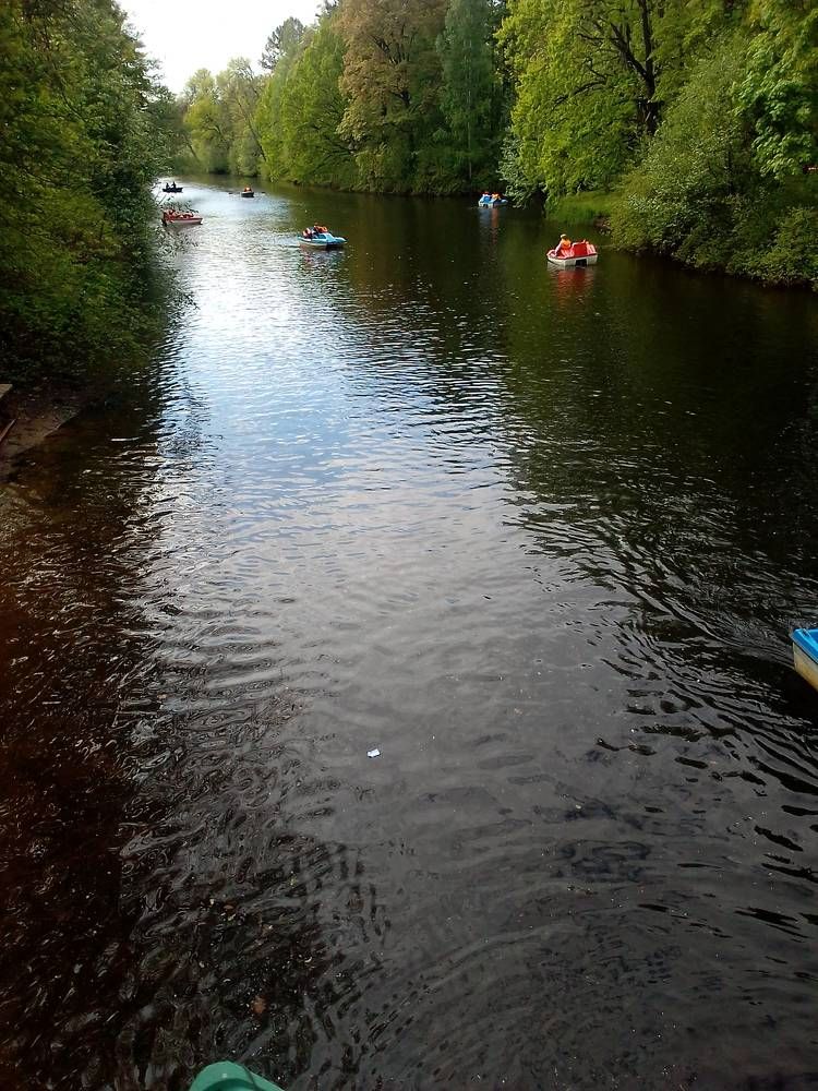 Летний день.