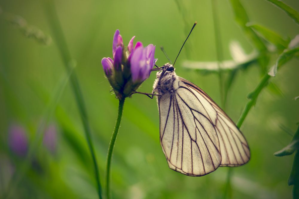 Photograph by Евгений Малинин