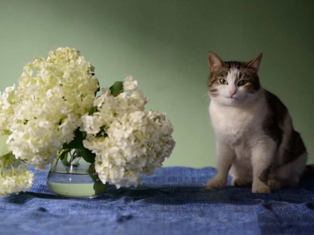 Photograph by Наталия Комаровская