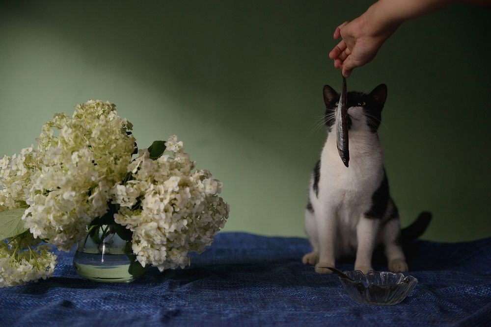 Photograph by Наталия Комаровская