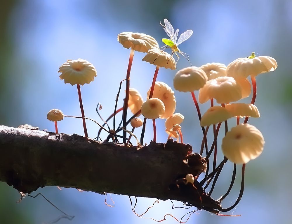 Фотография автора Галина Горькавая