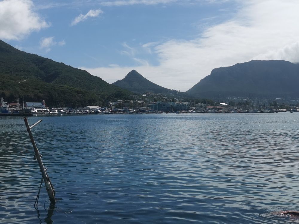 Photo #9267828