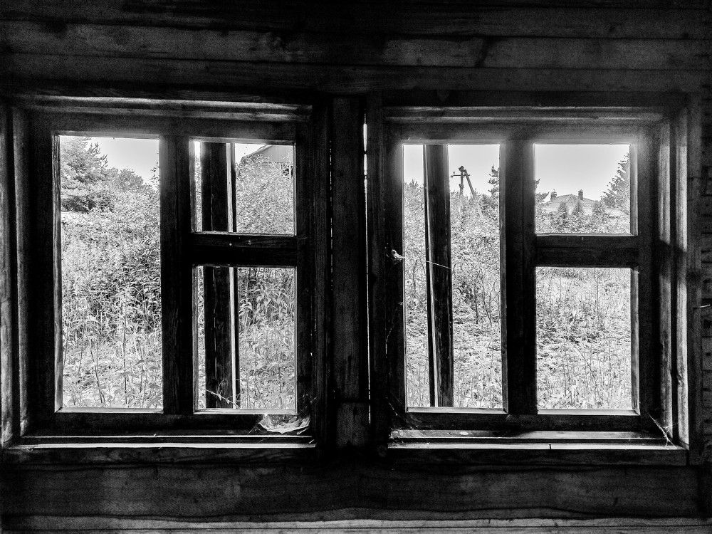 Фотография автора Ирина Гриценко