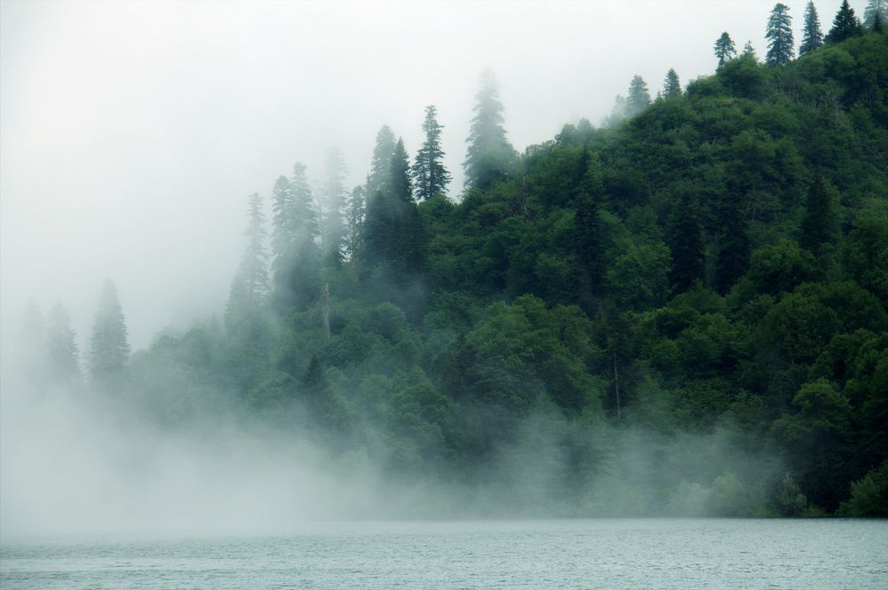 Photograph by Наталья Адалинская