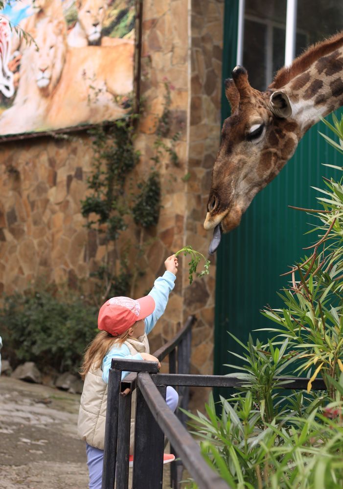 Photograph by Львица Катюша