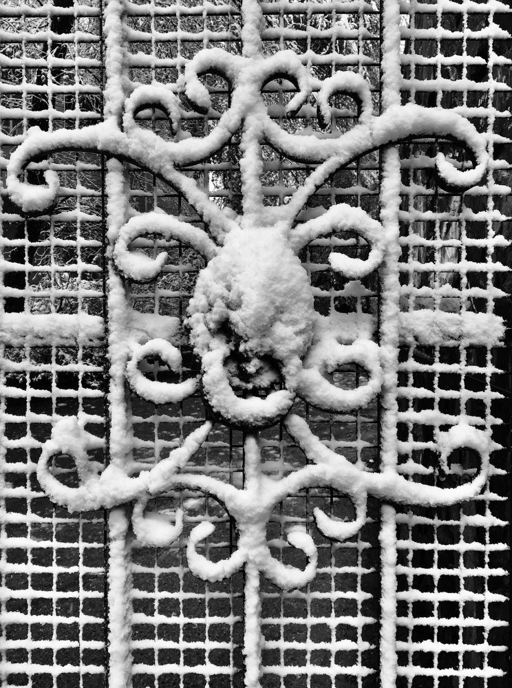 Photograph by Елена Ким