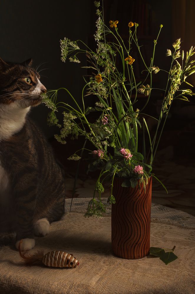 Photograph by Yulia