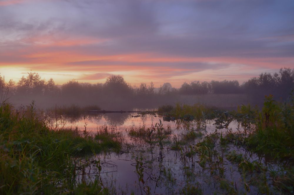Photograph by Светлана Перминова