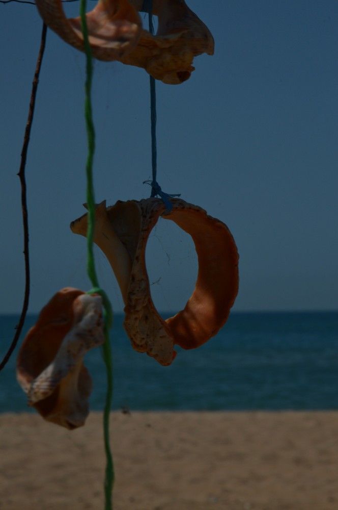 Photograph by Ольга Шевцова