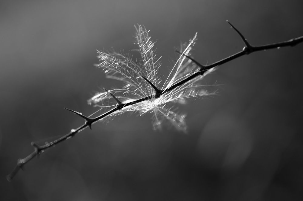 Photograph by Алексей Дудинский