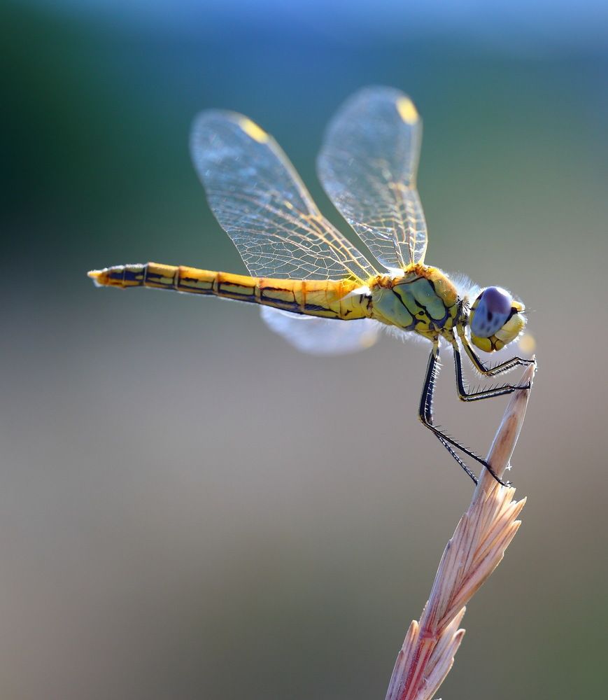 Photograph by Алексей Дудинский