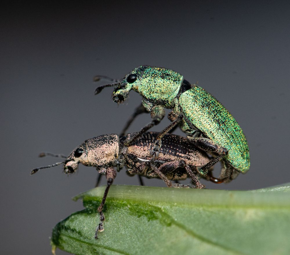 Photograph by Tanya Narayan