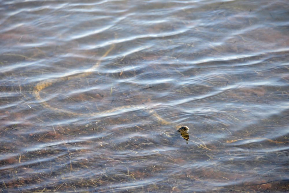 Photograph by Наталья Каплина