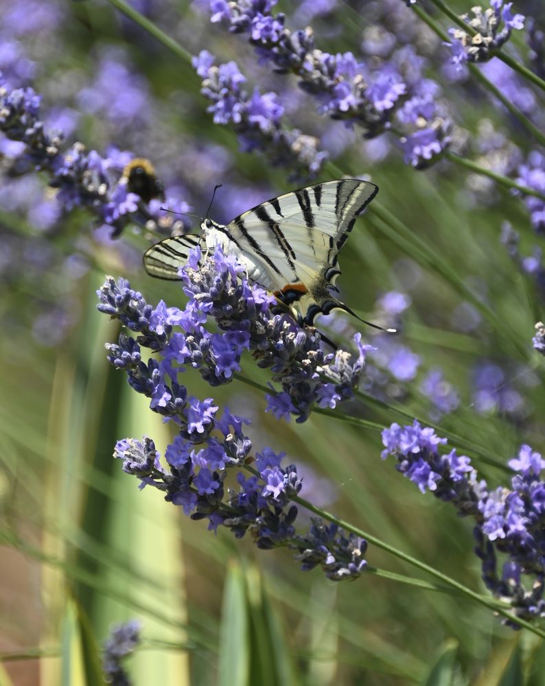 Photograph by Наталья Каплина