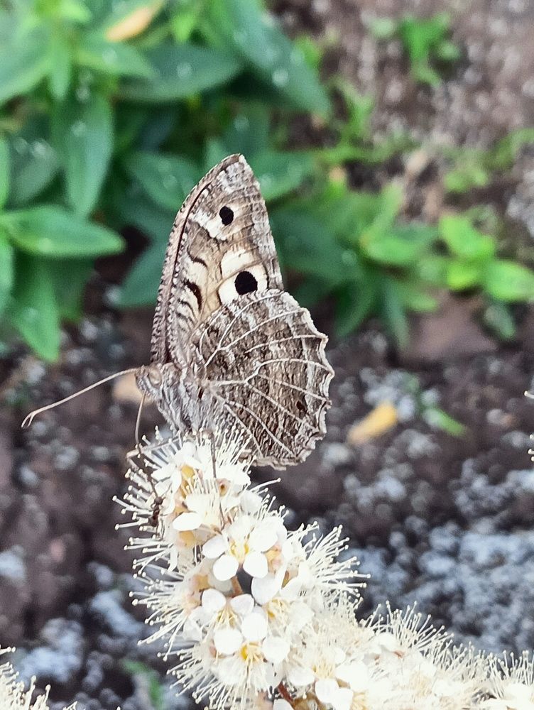 Photograph by Елена Чурынина