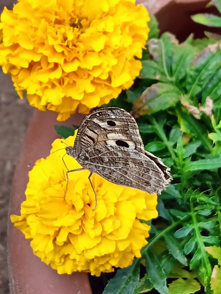 Photograph by Елена Чурынина