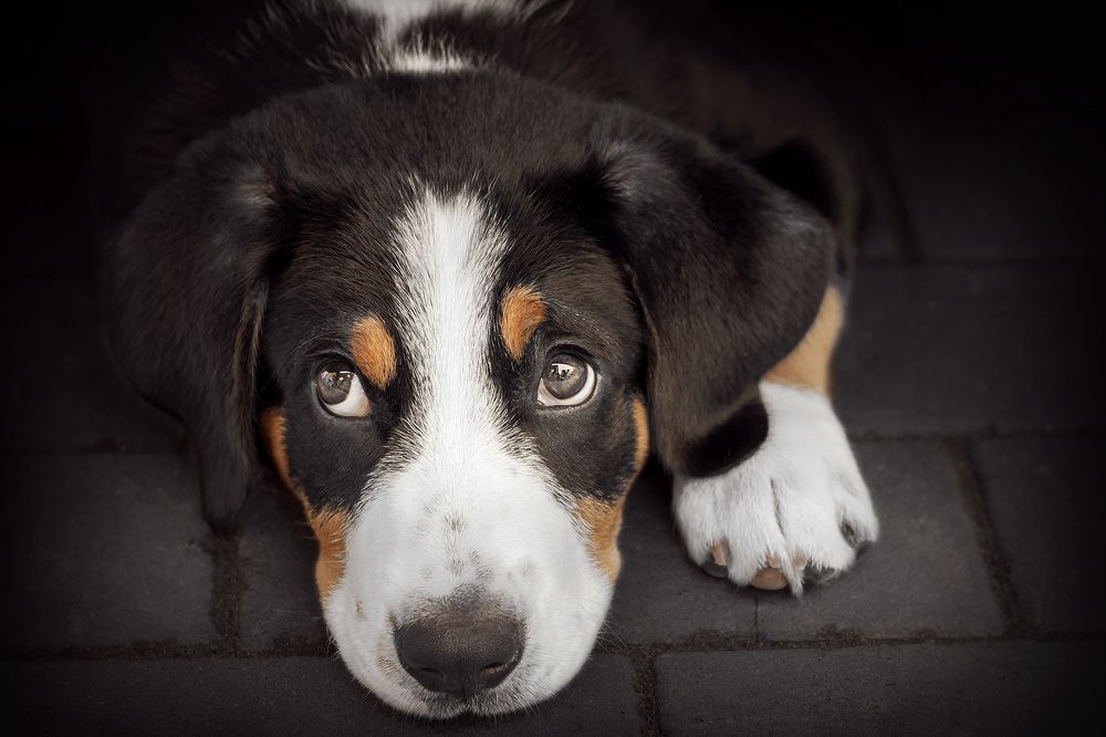 Photograph by Evgeniia Iakimenko