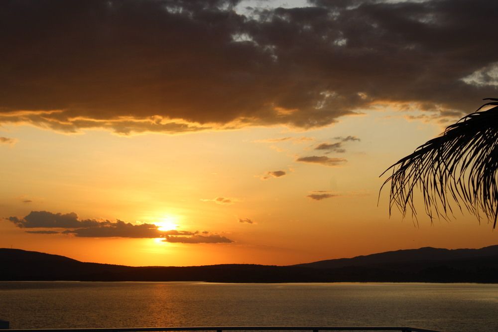 Photograph by Fernanda Silva