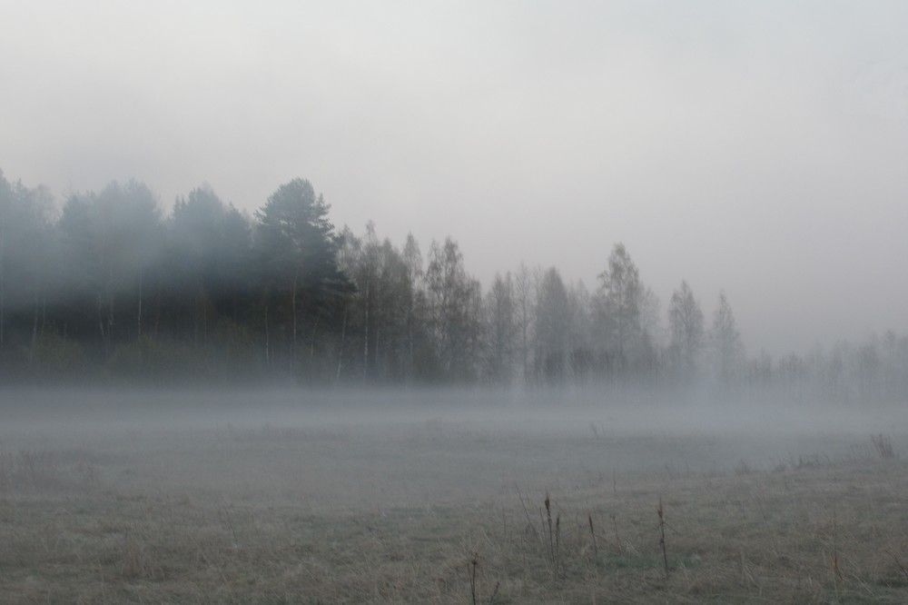 Photograph by Ольга Березовская