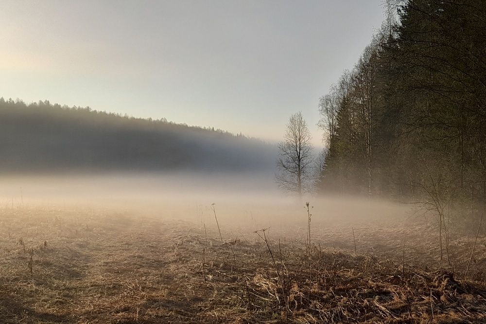 Photograph by Ольга Березовская