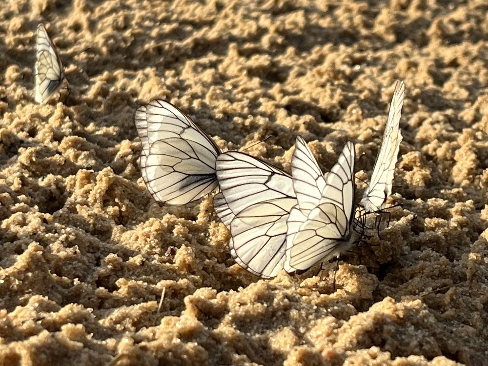 Photograph by Анастасия Дончук