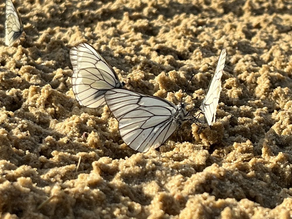 Photograph by Анастасия Дончук