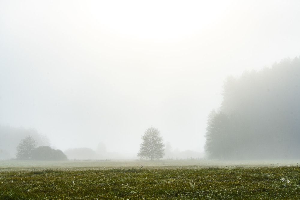 Photograph by Алексей Сиваков